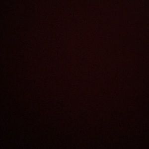 Meet your Posher, Sophia